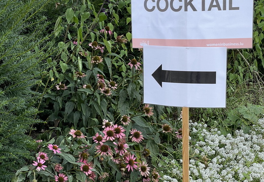 img 8992 53195608376 o