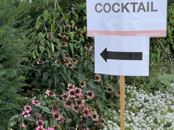 img 8992 53195608376 o