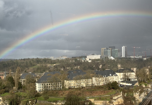 img 2697 53554619594 o