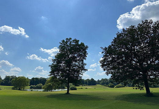 img 2024-06-28-094152978 53820981871 o