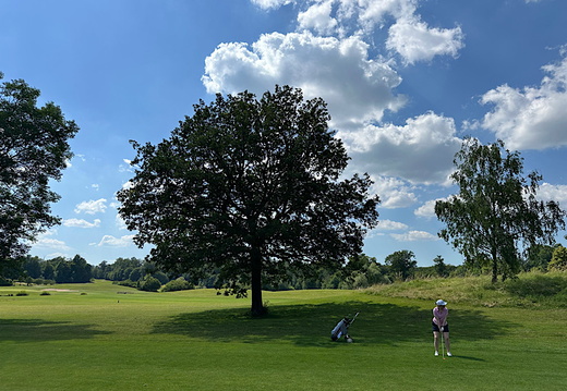 img 2024-06-28-094153404 53820063742 o