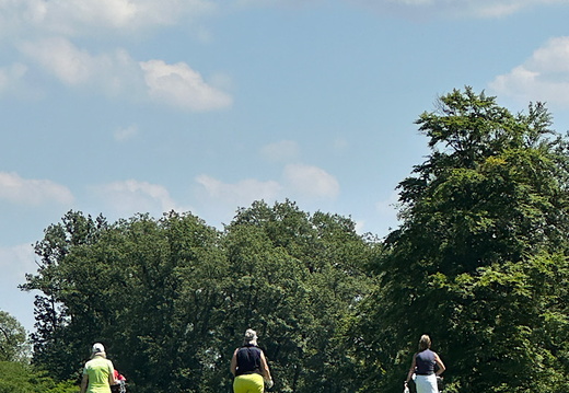 img 2024-06-28-094205951 53820982001 o