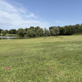 IMG 3209