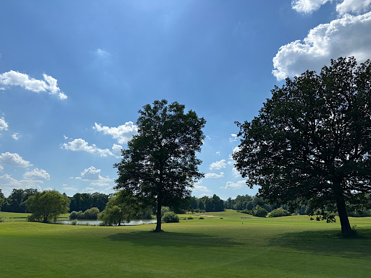 img 2024-06-28-094152978 53820981871 o