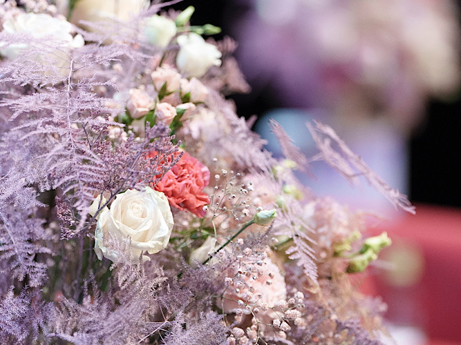 wib-2023 53365957743 o