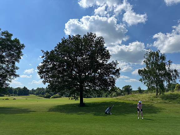 img 2024-06-28-094153404 53820063742 o