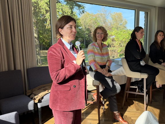 IMG 3884